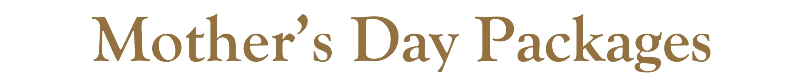 Mother's Day 2026 Web Banner for Landing Page (2)